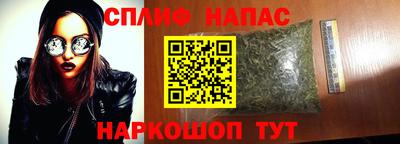 PSILOCYBIN Абакан