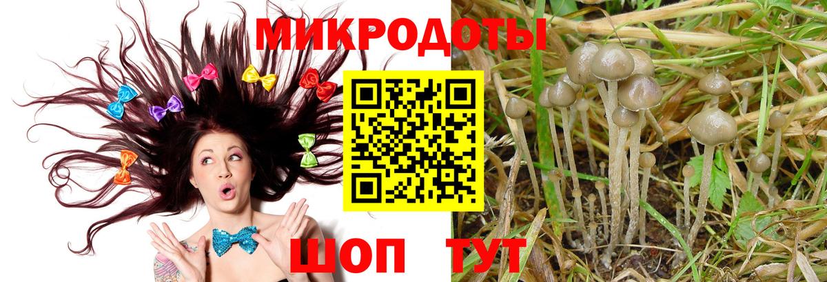 Псилоцибиновые грибы прущие грибы Аргун